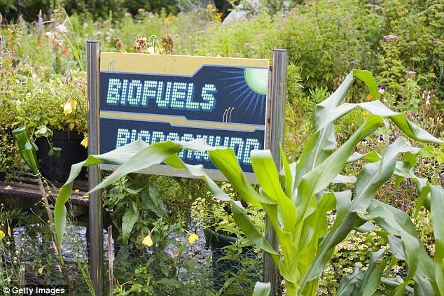 Prancis Batasi Minyak Sawit untuk Biofuel, RI dan Malaysia Meradang